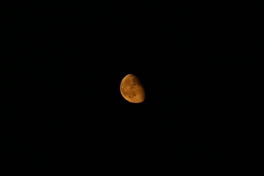 Photo of a half-moon taken in a very clear night