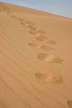 Desert just outside Dubai