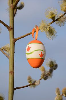 Painted Easter egg hanging on pussy-willow tree branches. Nice spring decoration.