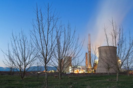 Bare trees near a coal power plant, photographed during late afternoon