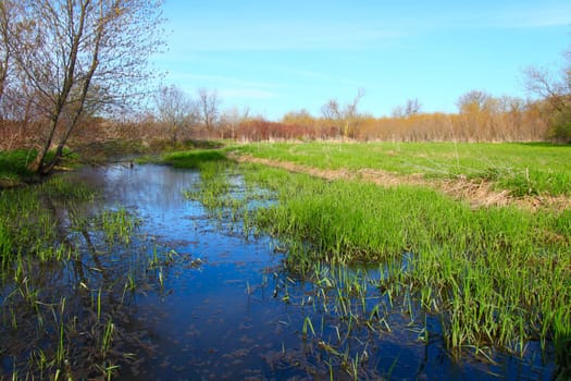 An small oxbow backwater of a river in northern Illinois.