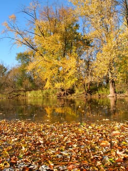 Beautiful fall colors reflect off the Kishwaukee River in Boone County, Illinois.