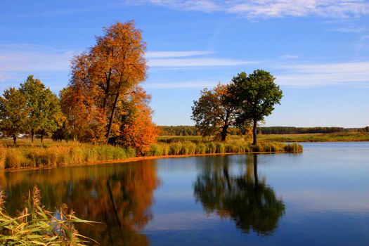 Autumn trees the lakes reflected in a water smooth surface