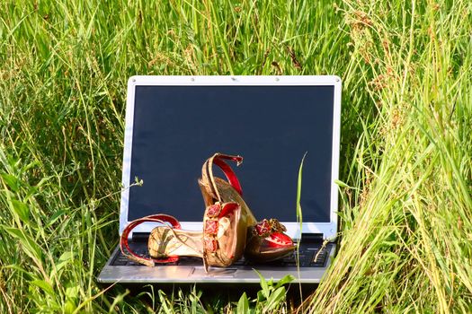The laptop on a meadow in a grass with female barefoot persons on the keyboard
