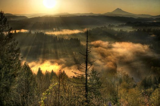 Sunrise Over Mount Hood One Foggy Morning Along Sandy River Bend 2