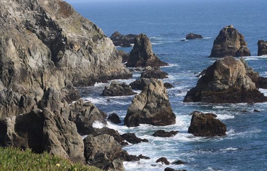 Bodega Head Coastline Bodega Bay