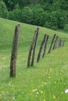 Fence photographed in the middle of green meadows.