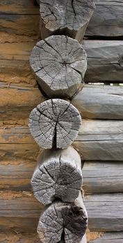 texture of wood 