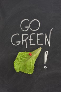 lettuce leaf posted on a blackboard, go green concept - environment conservation or healthy diet