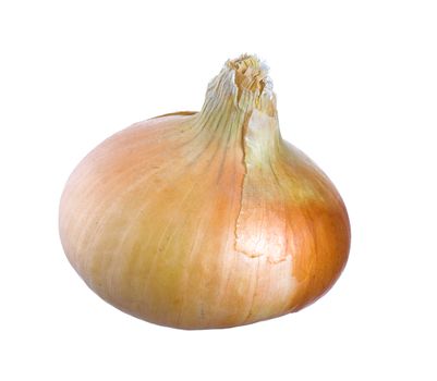 onion isolated on white background