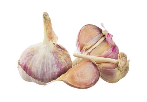 garlic isolated on white background