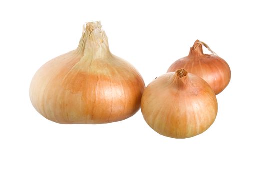 onion isolated on white background