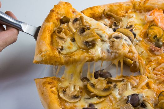 pizza with mushrooms and seafood