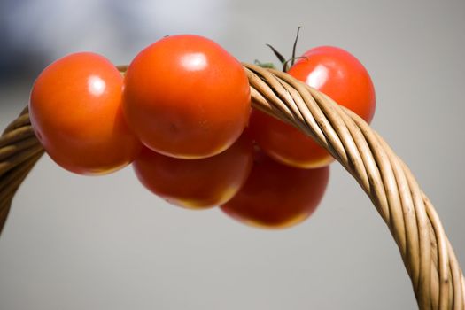 A bunch of tomatoes, hanging from the handle of a basket.