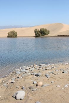 Maspalomas area on Gran Canaria