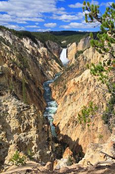 The Lower Falls at the Grand Canyon of the Yellowstone