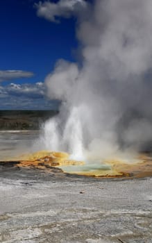 The scenery of Lower Geyser Basin in Yellowstone National Park 