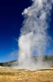 The Old Faithful Geyser in Yellowstone National Park