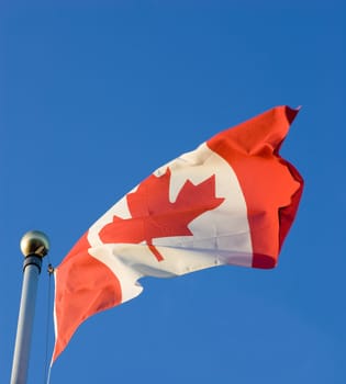 The Canadian Flag, waving in the breeze, with a clear blue sky background.