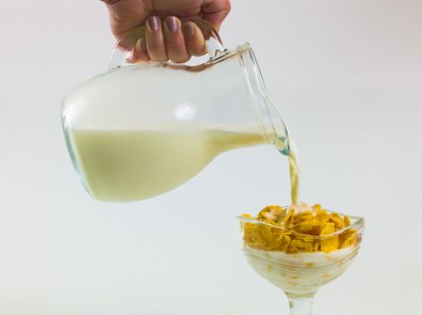 cornflakes and jug of milk