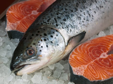 Fresh red fish on ice