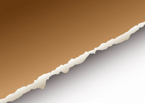 brown paper background with torn edge and drop shadow