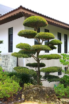 a famous traditional Japanese garden in Southern Florida