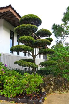 a famous traditional Japanese garden in Southern Florida