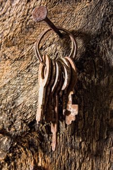 forgotten keys on an old nail clogged at the wall