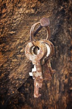 forgotten keys on an old nail clogged at the wall