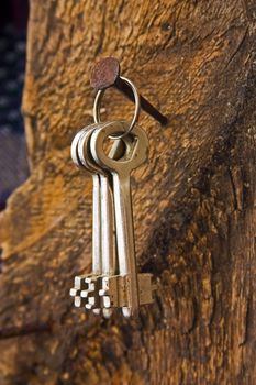 forgotten keys on an old nail clogged at the wall