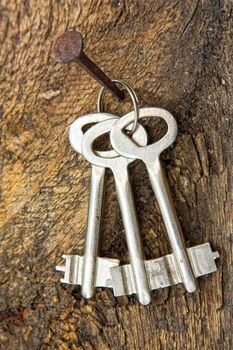 forgotten keys on an old nail clogged at the wall