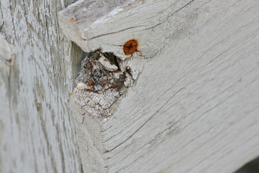 Worn and broken down fence with a grey colour
