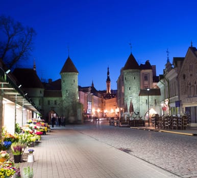 Main Street towards Raekoja square in Tallinn in Estonia at dusk as the buildings are illuminated