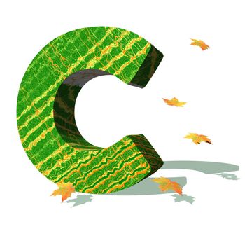 Green ecological C capital letter surrounded by few autumn falling leaves in a white background with shadows