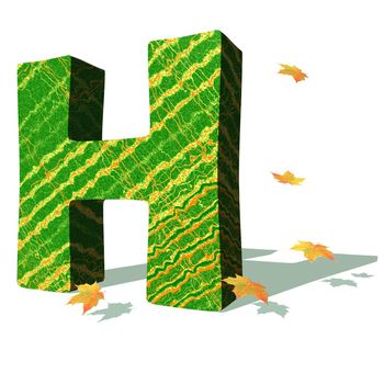 Green ecological H capital letter surrounded by few autumn falling leaves in a white background with shadows