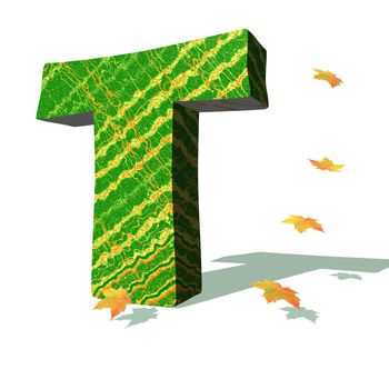 Green ecological T capital letter surrounded by few autumn falling leaves in a white background with shadows