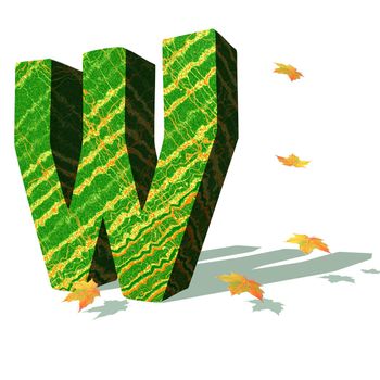 Green ecological W capital letter surrounded by few autumn falling leaves in a white background with shadows