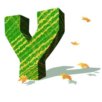 Green ecological Y capital letter surrounded by few autumn falling leaves in a white background with shadows