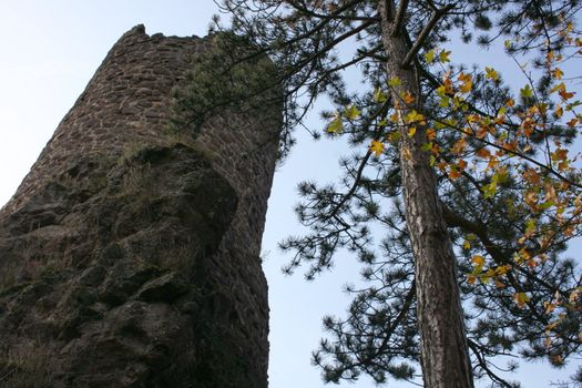 Ruine der Burg Bosselstein in Idar Oberstein,Deutschland	
Autumnal eye a ruined tower with a pine tree and the branch of a maple in the foreground