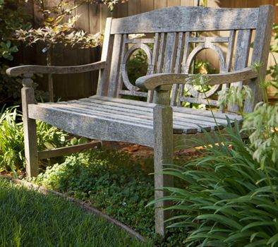Weathered wood bench n green garden
