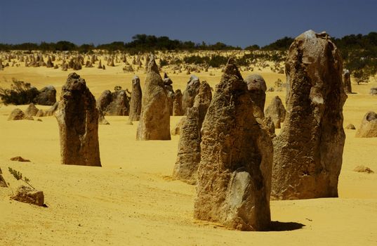 Pinnacles Desert, Australia