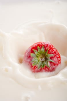 Fresh strawberry falling in the milk