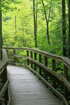 A walking trail in the Great Swamp National Wildlife Refuge, New Jersey