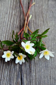 A bouquet of wood anemones on wood