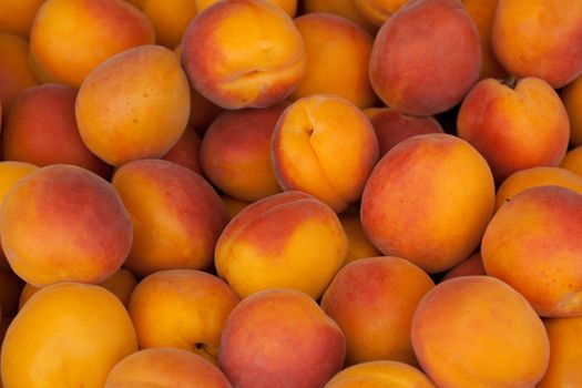 apricot