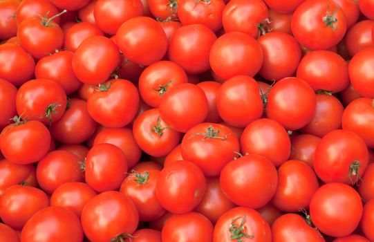 tomatoes