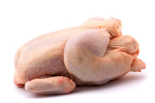 raw, fresh whole chicken on a white background