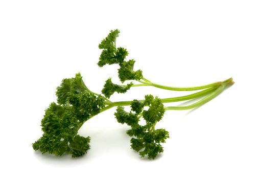 sprig of fresh parsley on a white background