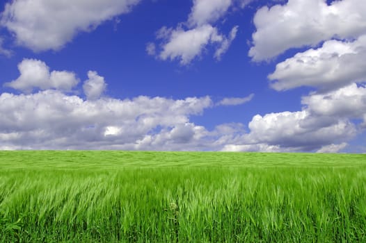green field and cloudy sky make up this country landscape